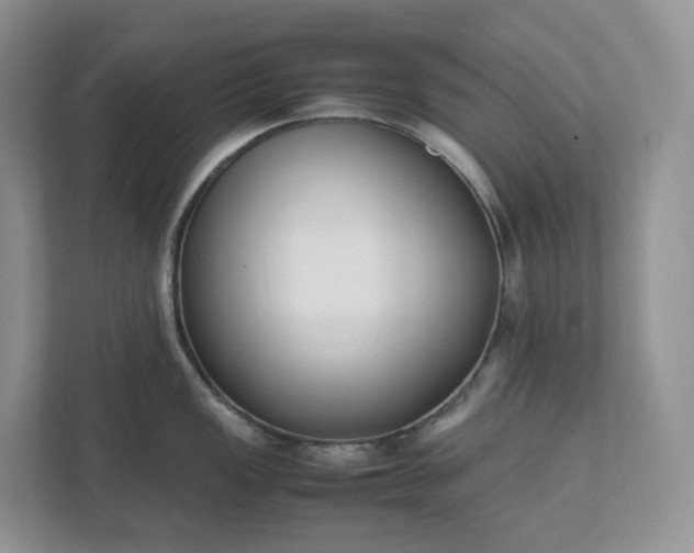 X0000111531149200907211239