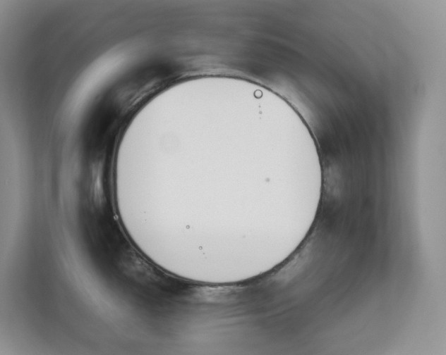 X0000111531150200907211239