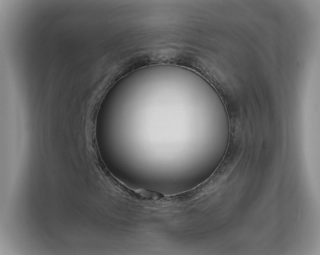 X0000111531153200907211238