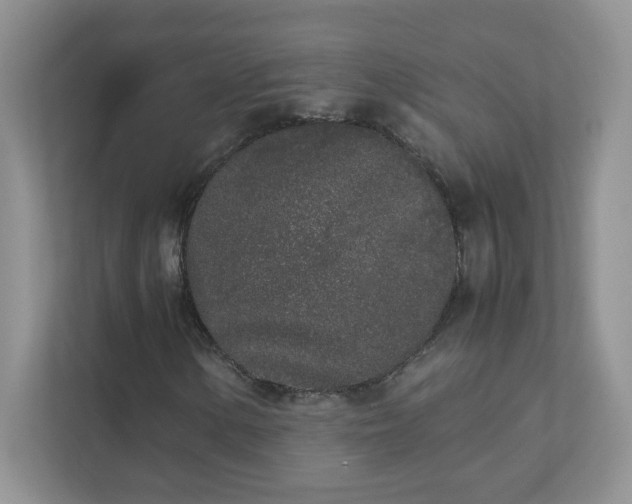 X0000111531154200907211238