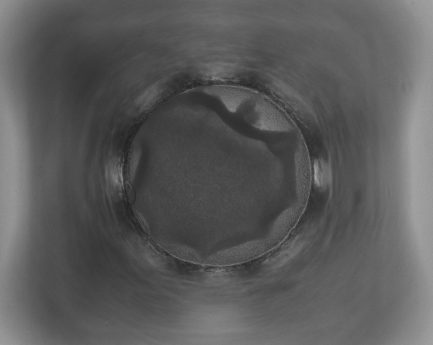 X0000111531155200907211238