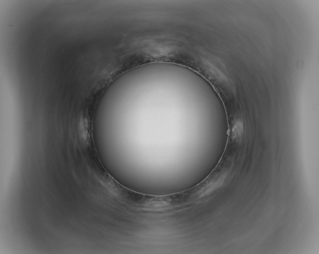 X0000111531156200907211238