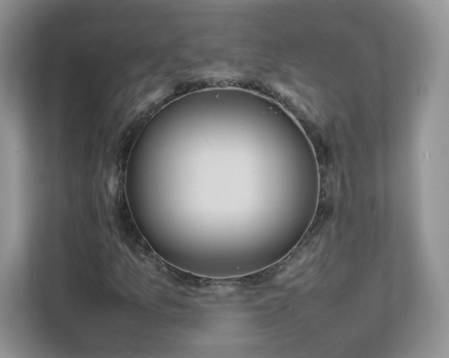 X0000111531157200907211238