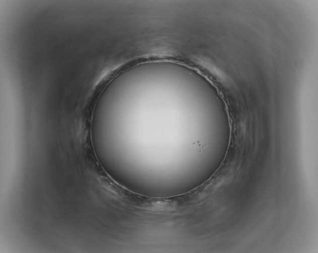 X0000111531160200907211238