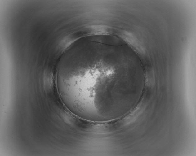 X0000111531161200907211238