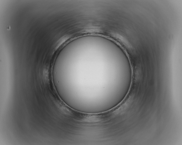 X0000111531162200907211238