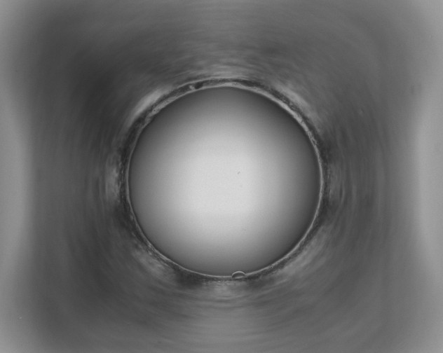 X0000111531163200907211238