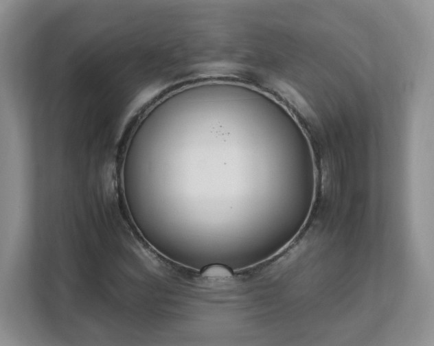 X0000111531164200907211238