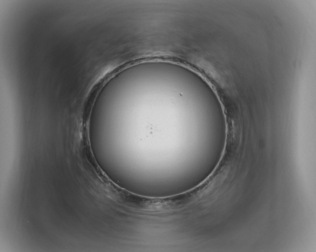 X0000111531165200907211238