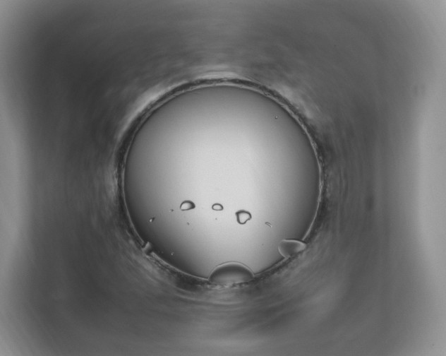 X0000111531167200907211238