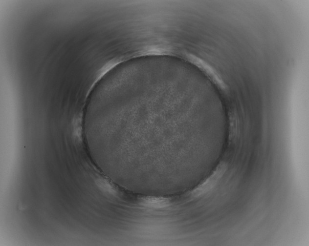 X0000111531170200907211238