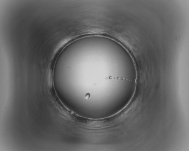 X0000111531171200907211238