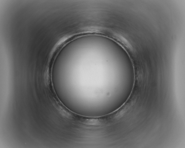 X0000111531172200907211238