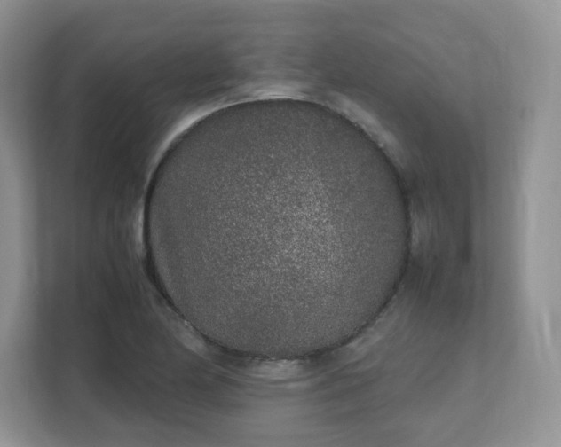 X0000111531174200907211238