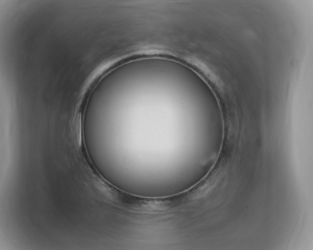 X0000111531175200907211238