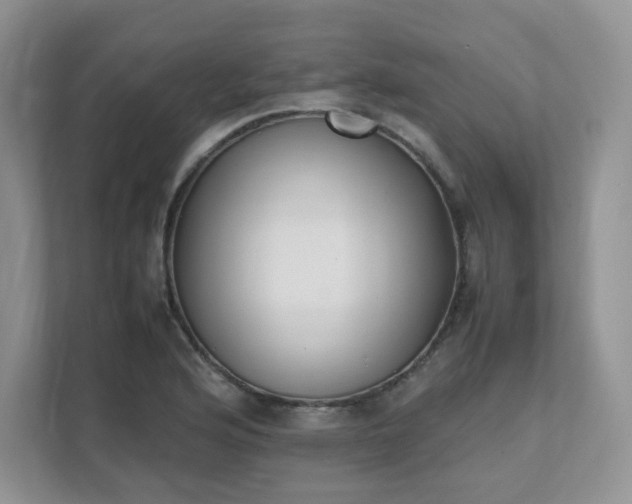 X0000111531176200907211238