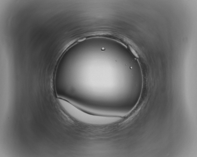 X0000111531177200907211238