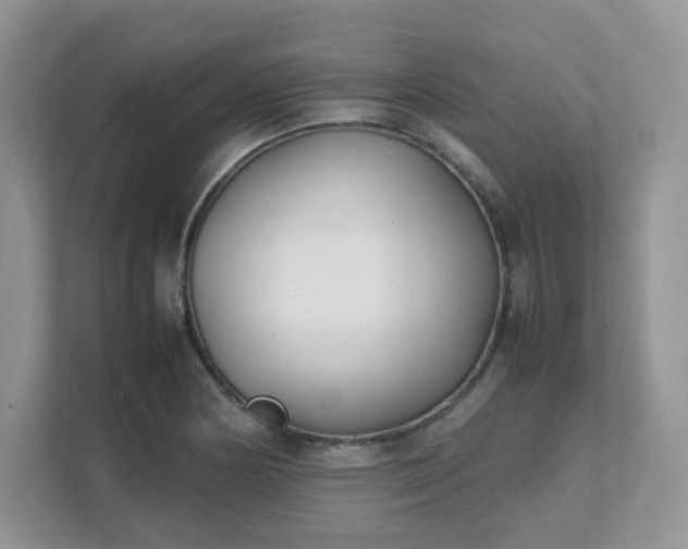 X0000111531178200907211238