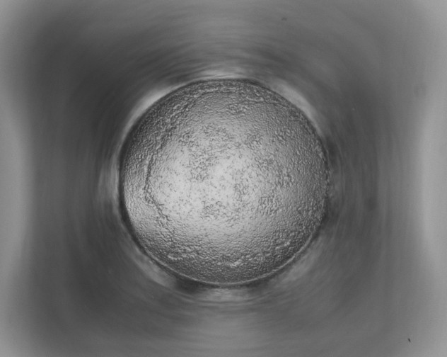 X0000111531179200907211238