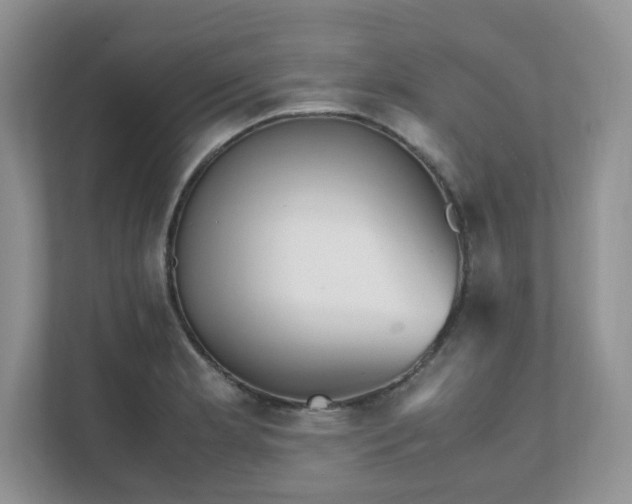 X0000111531181200907211238