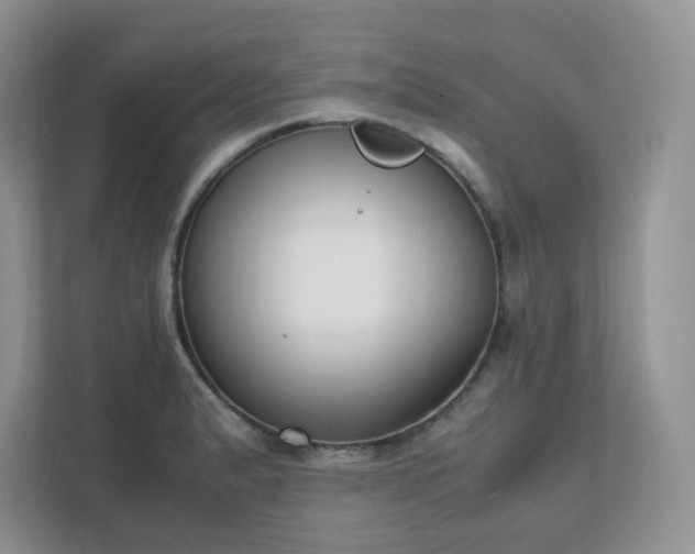 X0000111531183200907211238