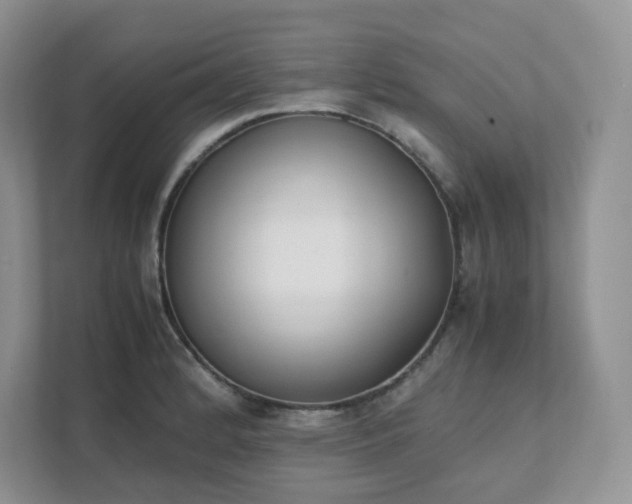 X0000111531184200907211238