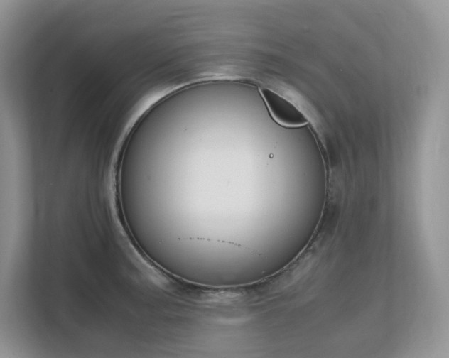 X0000111531187200907211238