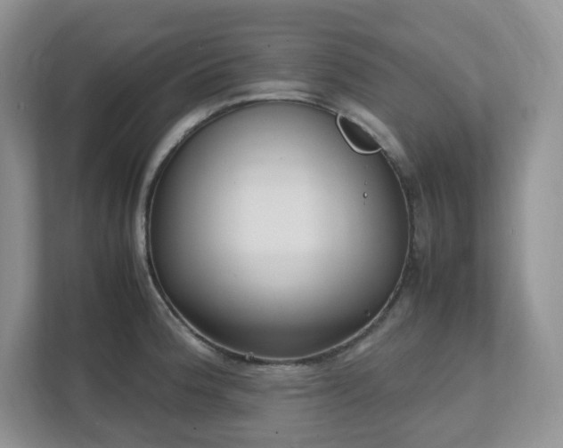 X0000111531188200907211238