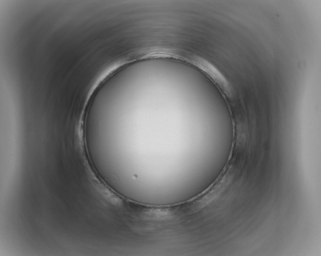 X0000111531190200907211238