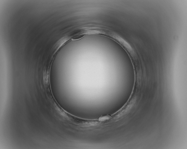 X0000111531193200907211238