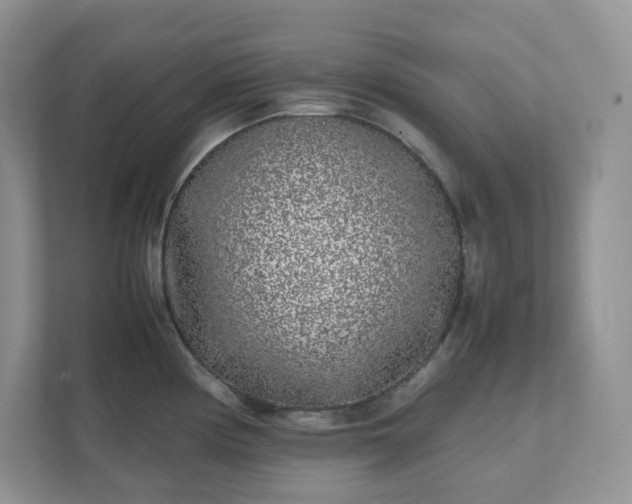 X0000111531194200907211238