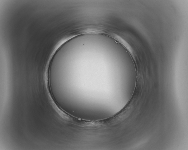 X0000111531195200907211238