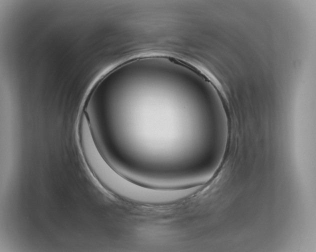 X0000111531197200907211238