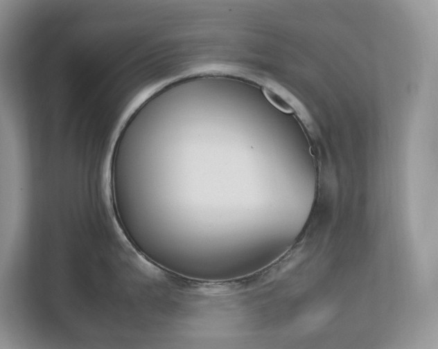 X0000111531199200907211238