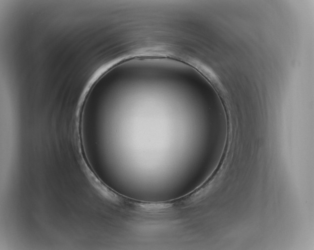 X0000111531200200907211238