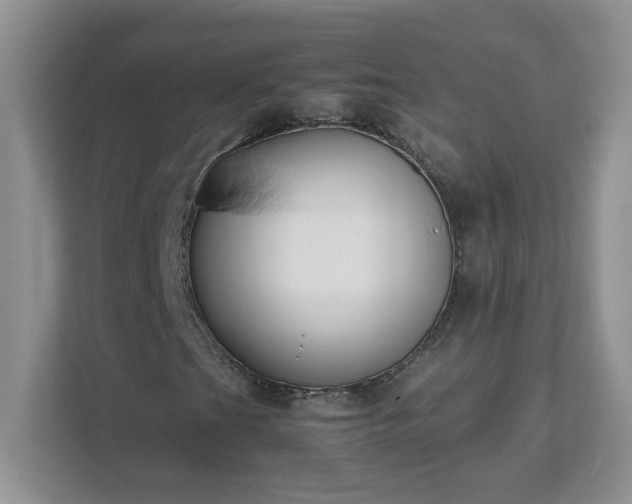 X0000111531201200907211237