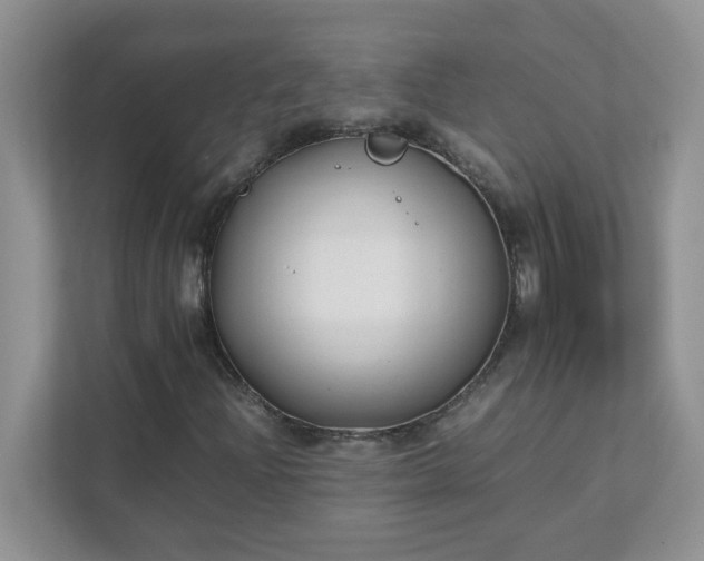 X0000111531204200907211237