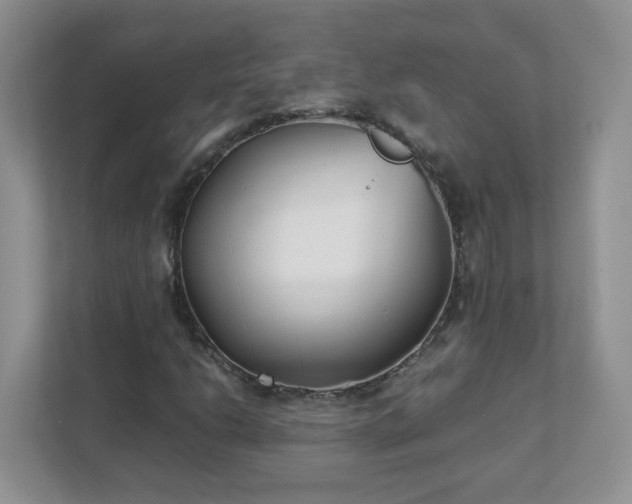 X0000111531206200907211237