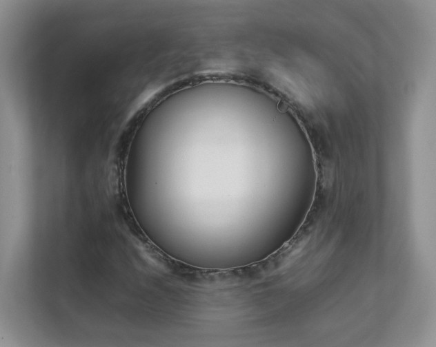 X0000111531208200907211237