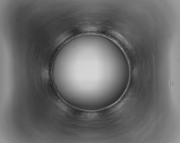 X0000111531209200907211237