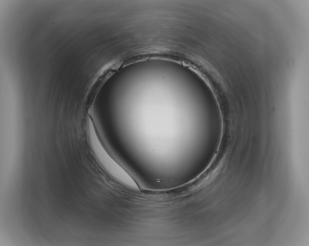 X0000111531210200907211237