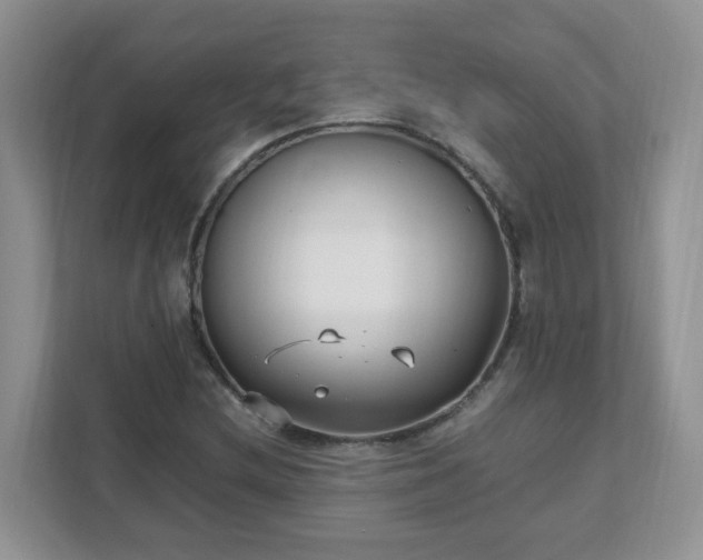 X0000111531212200907211237