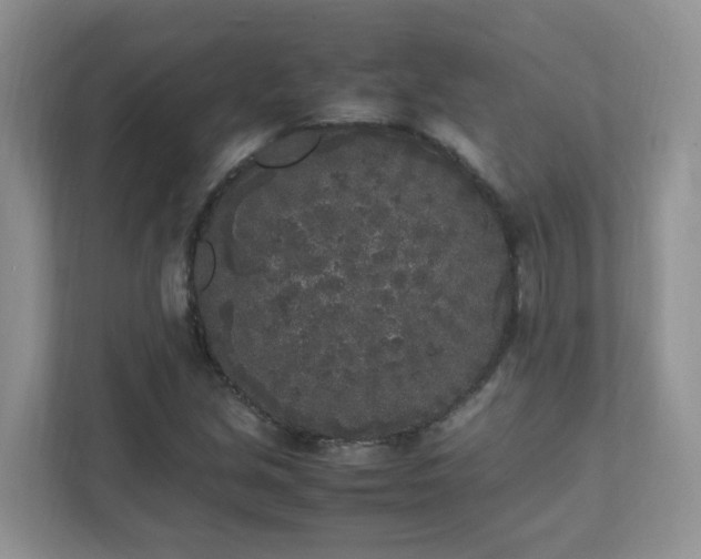 X0000111531213200907211237