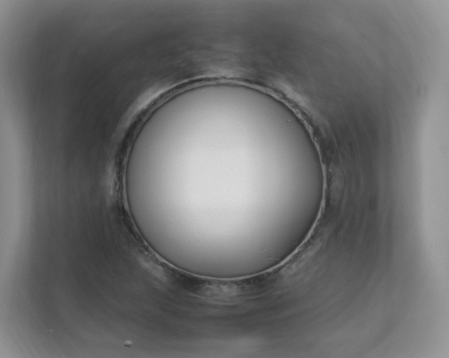 X0000111531215200907211237