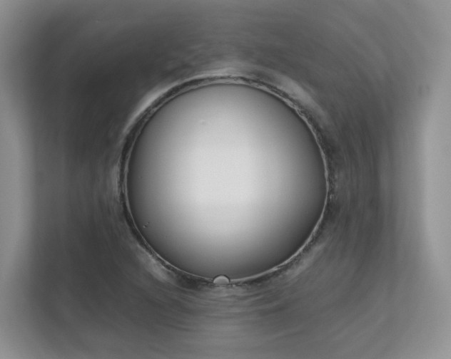 X0000111531216200907211237