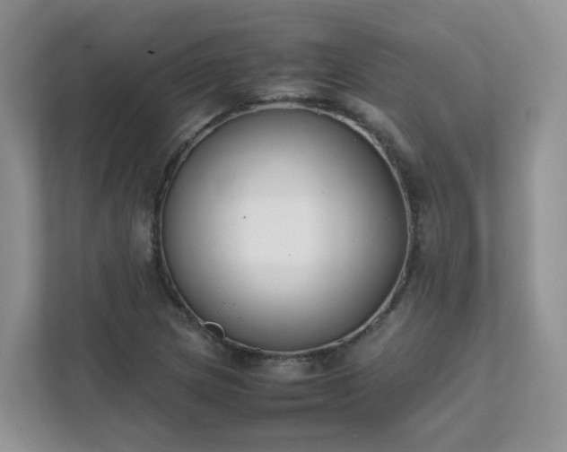 X0000111531217200907211237