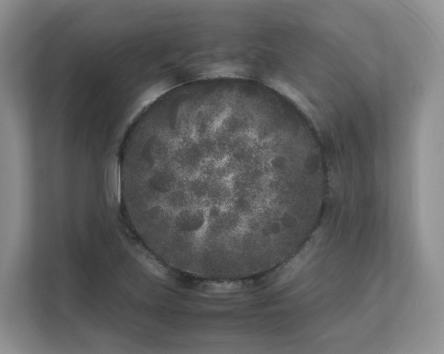 X0000111531219200907211237