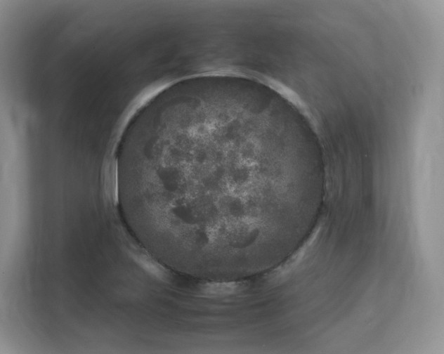 X0000111531223200907211237