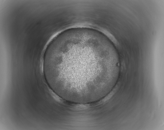 X0000111531224200907211237