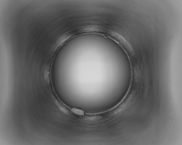 X0000111531225200907211237